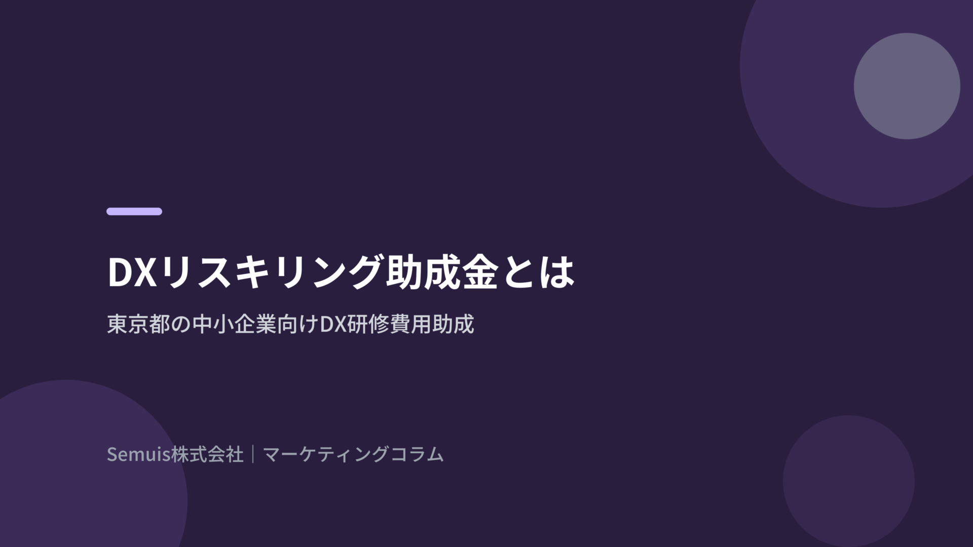 DXリスキリング助成金とは