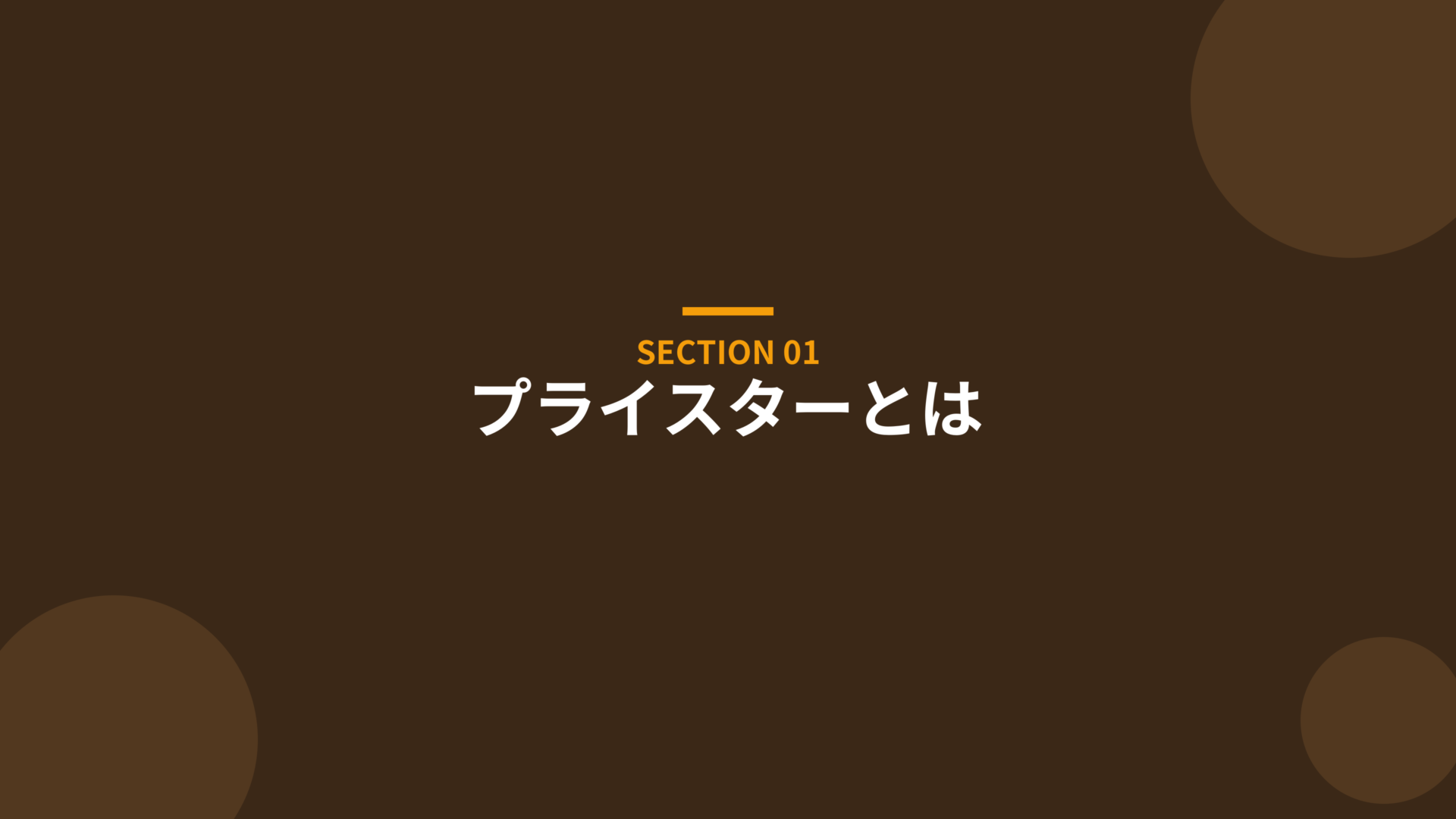 プライスターとは